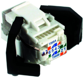 noyau1