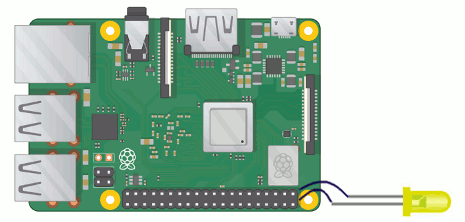 raspberry1