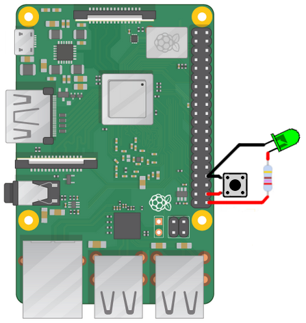 raspberry11